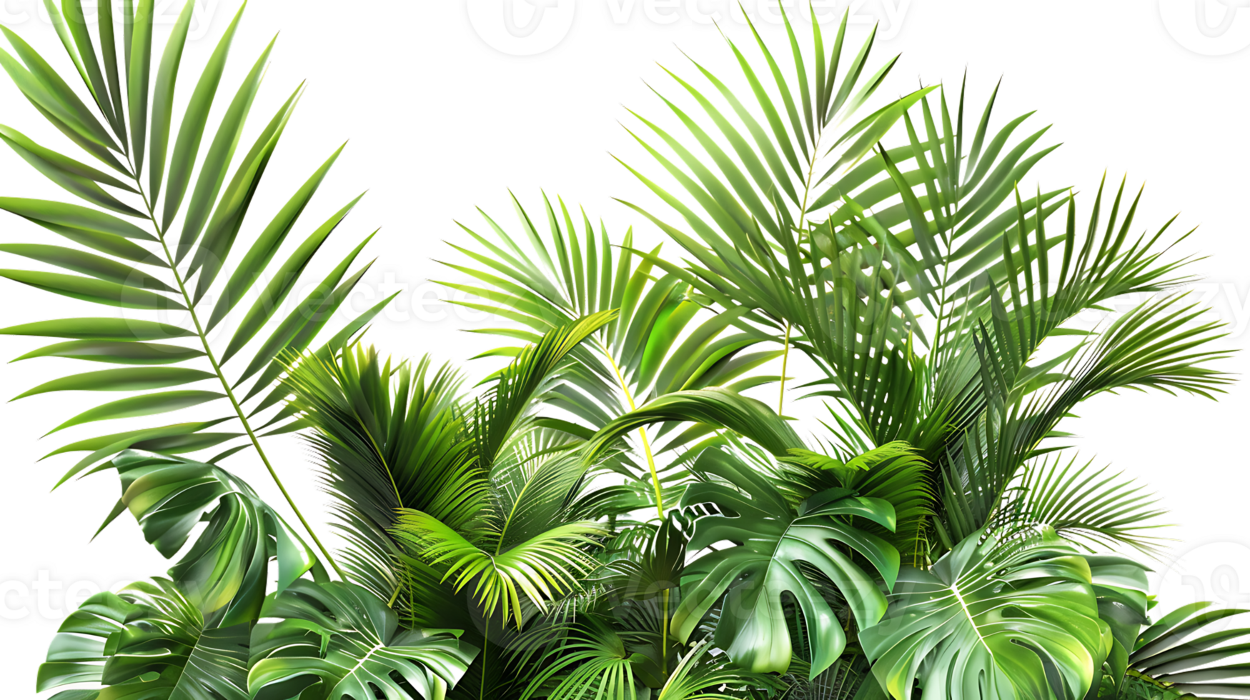 Tropical Green Palm Leaves Illustration png