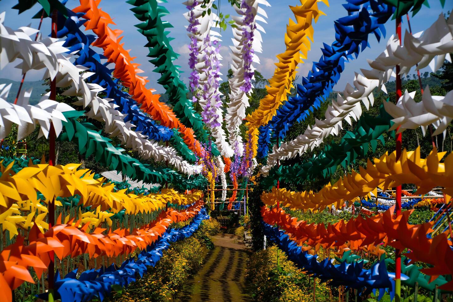 Geometric photo of Colorful Hallway full of Pinwheels. Background of natural scenery in amusement park. Graphic Resources. Background Photography. Travel Destinations