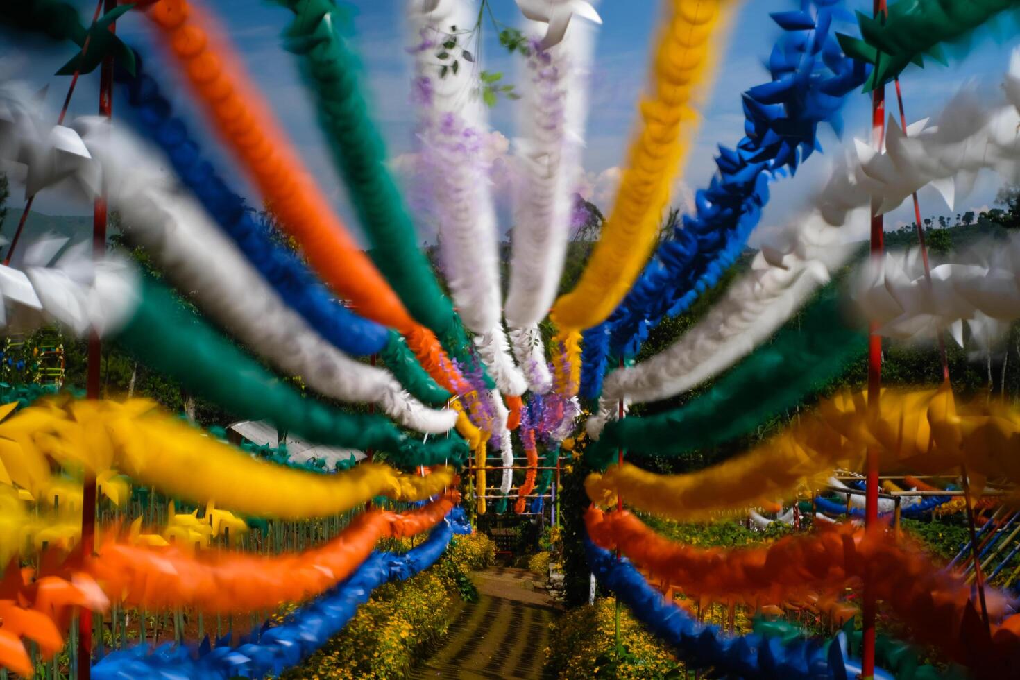 Blurred and defocused photo of Colorful Hallway full of Pinwheels. Background of natural scenery in amusement park. Graphic Resources. Background Photography. Blurred Background