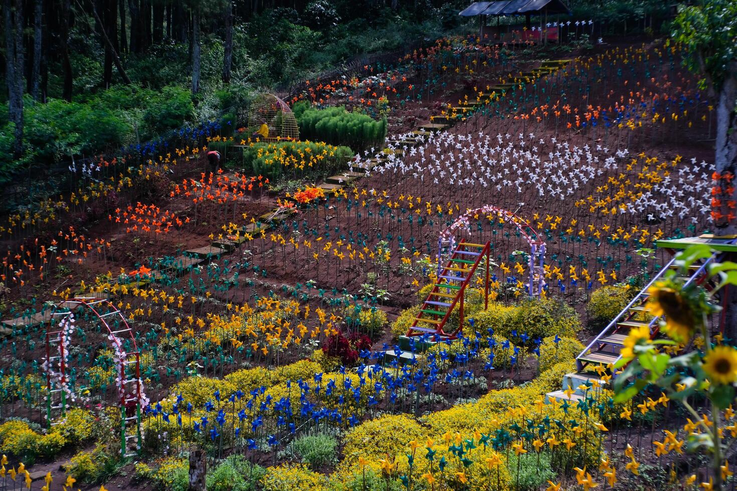 Photography of Colorful Pinwheels fills the entire park. Background of ornaments that decorate the amusement park. Graphic Resources. Background Photography. Travel Destinations photo