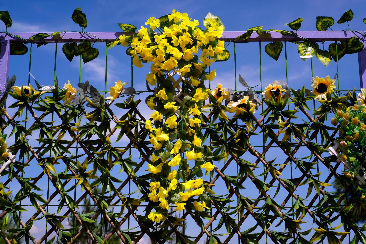 Photography of yellow flowers creeping on the fence. Background of ornaments that decorate the amusement park. Graphic Resources. Background Photography. Travel Destinations photo