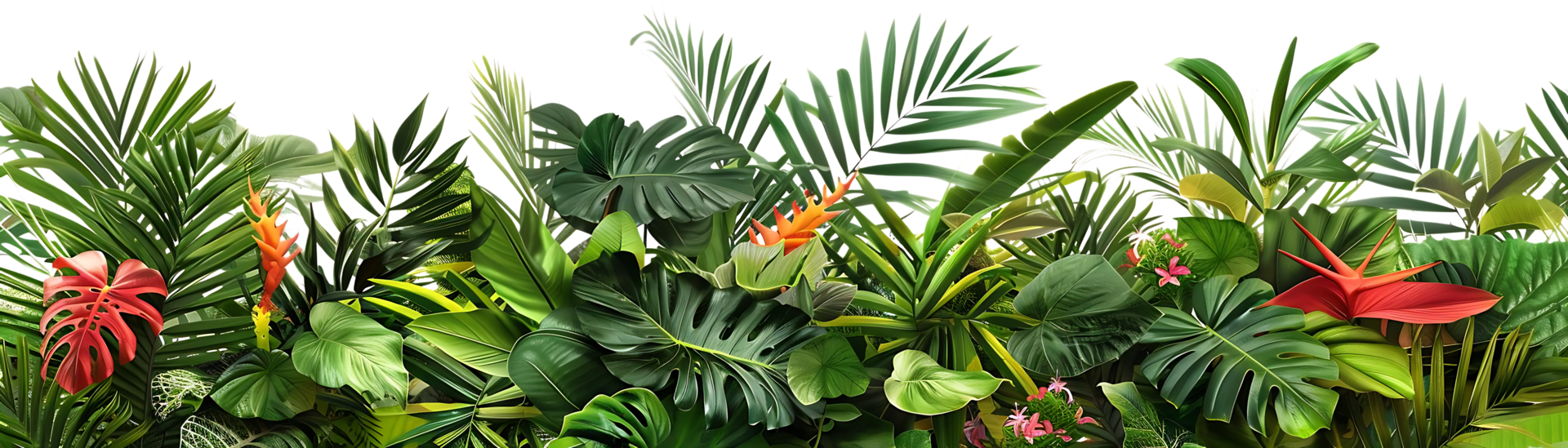 Tropical Leaves and Flowers Illustration png