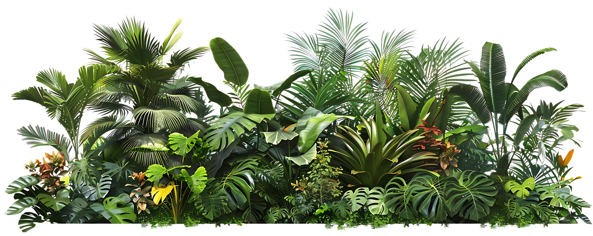 Tropical Jungle Foliage Illustration png