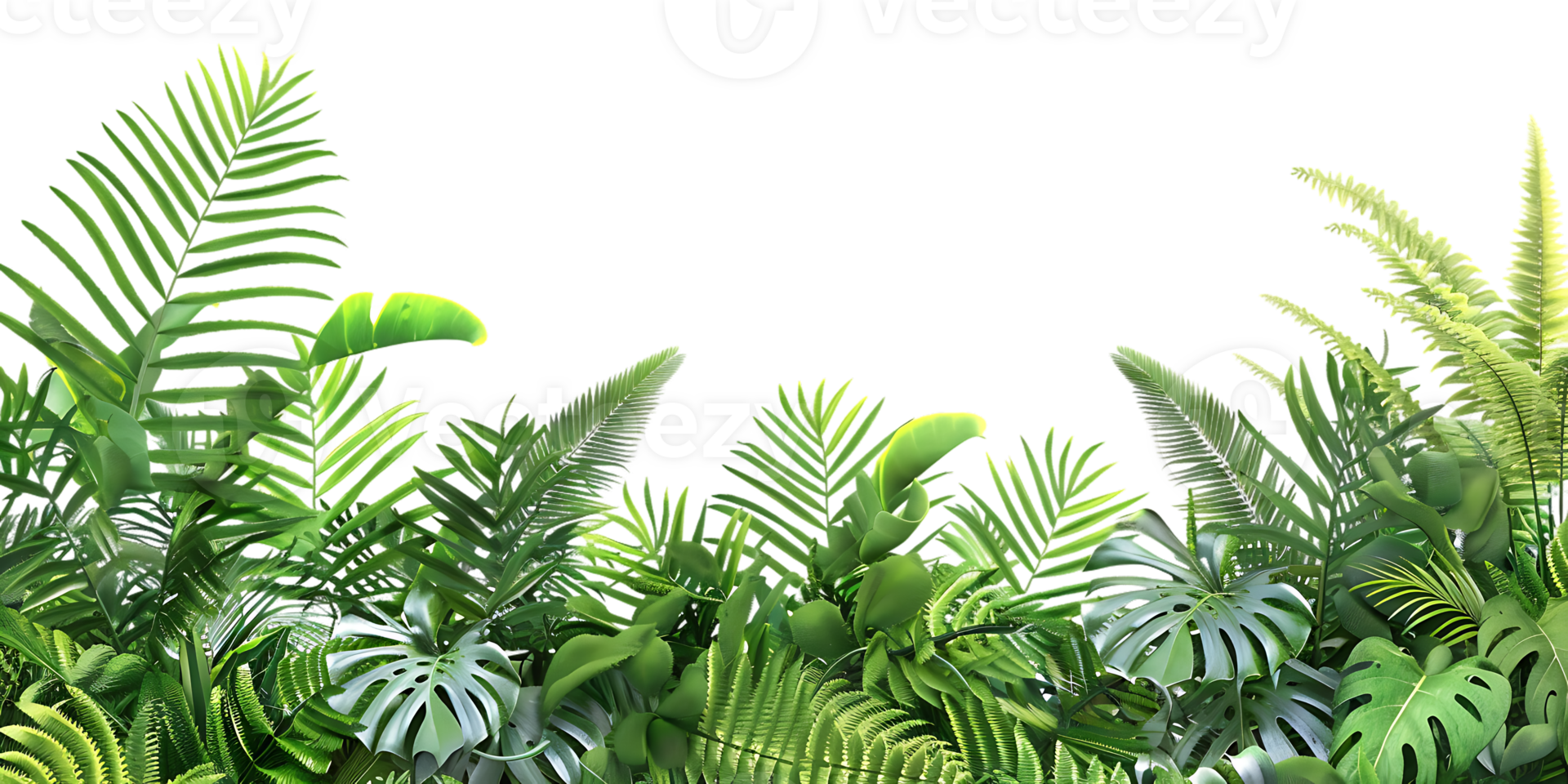 Tropical Green Leaves Illustration Background png