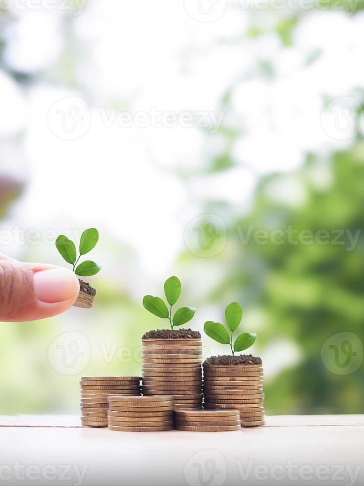 Close up hand putting coin into stack of coins and Plants growing up. The concept of saving money, Financial, Investment and Business growing. photo