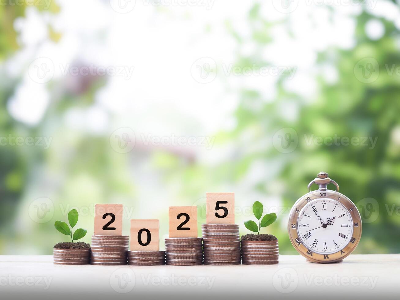 Vintage watch, Plants growing up on stack of coins and wooden block with number 2025. The concept of saving money, manage time to success Financial, Investment and Business growing up in year 2025. photo