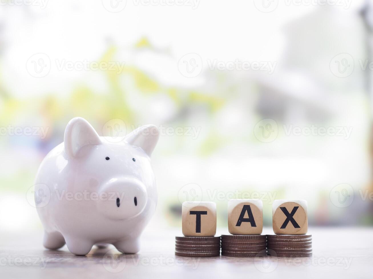 Piggy bank and wooden blocks with the word TAX on stack of coins. The concept about saving money and manage time to paying tax photo