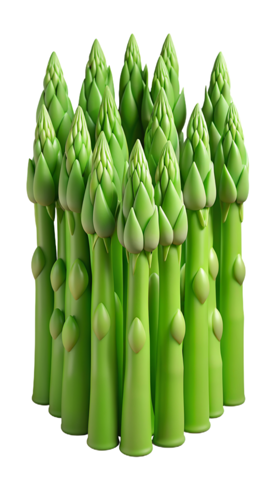 Asparagus Vegetable 3d png