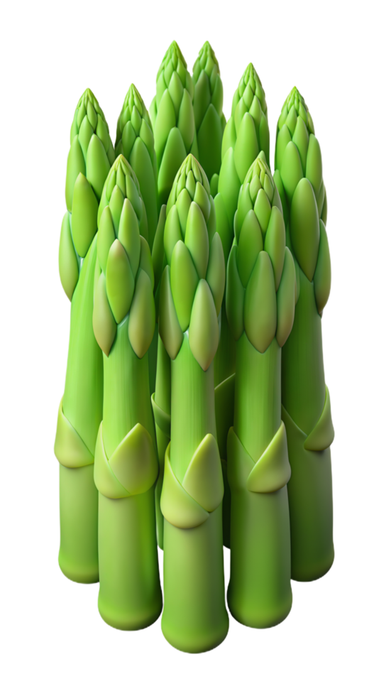 Asparagus Vegetable 3d Item png