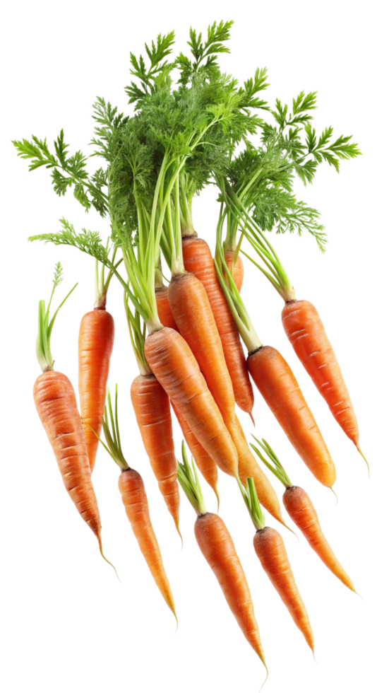Fresh Flying Carrots Realistic Item png