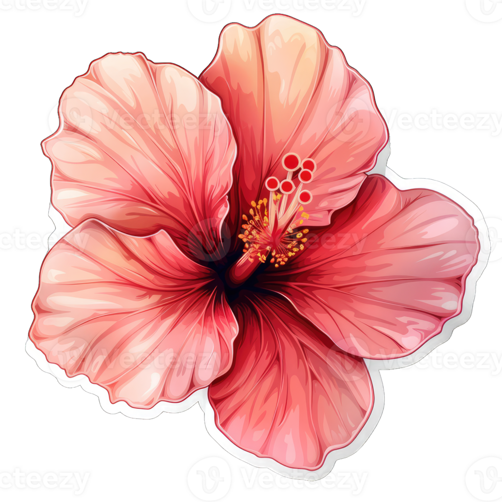 Colorful watercolor Flower png