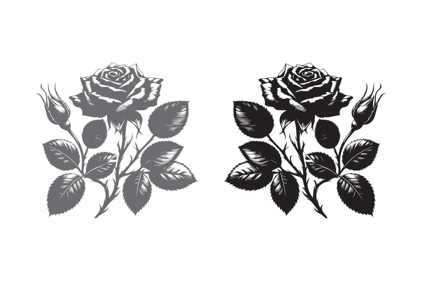 Rose Flower silhouette Illustration Artwork vector