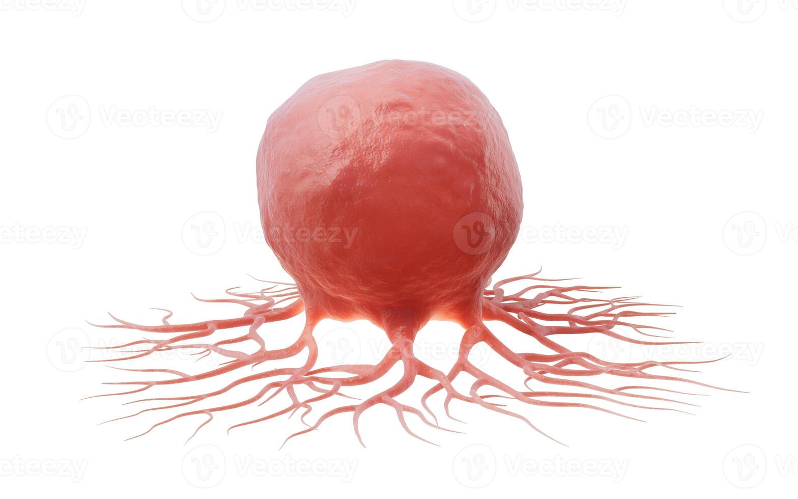 Biological cancer cell, 3d rendering. photo