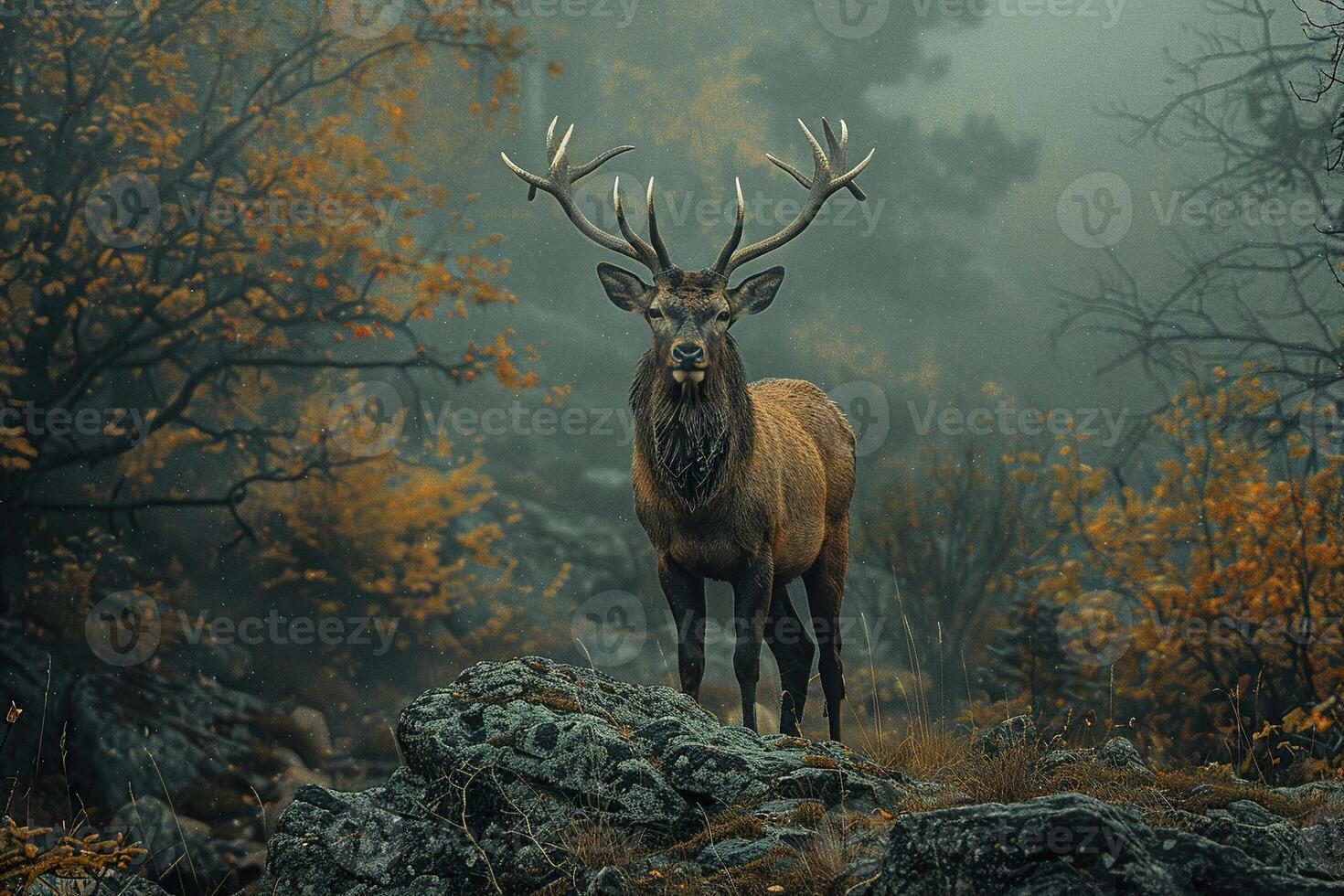 Wild deer in nature in a foggy forest. Wild autumn forest. Generated by artificial intelligence photo