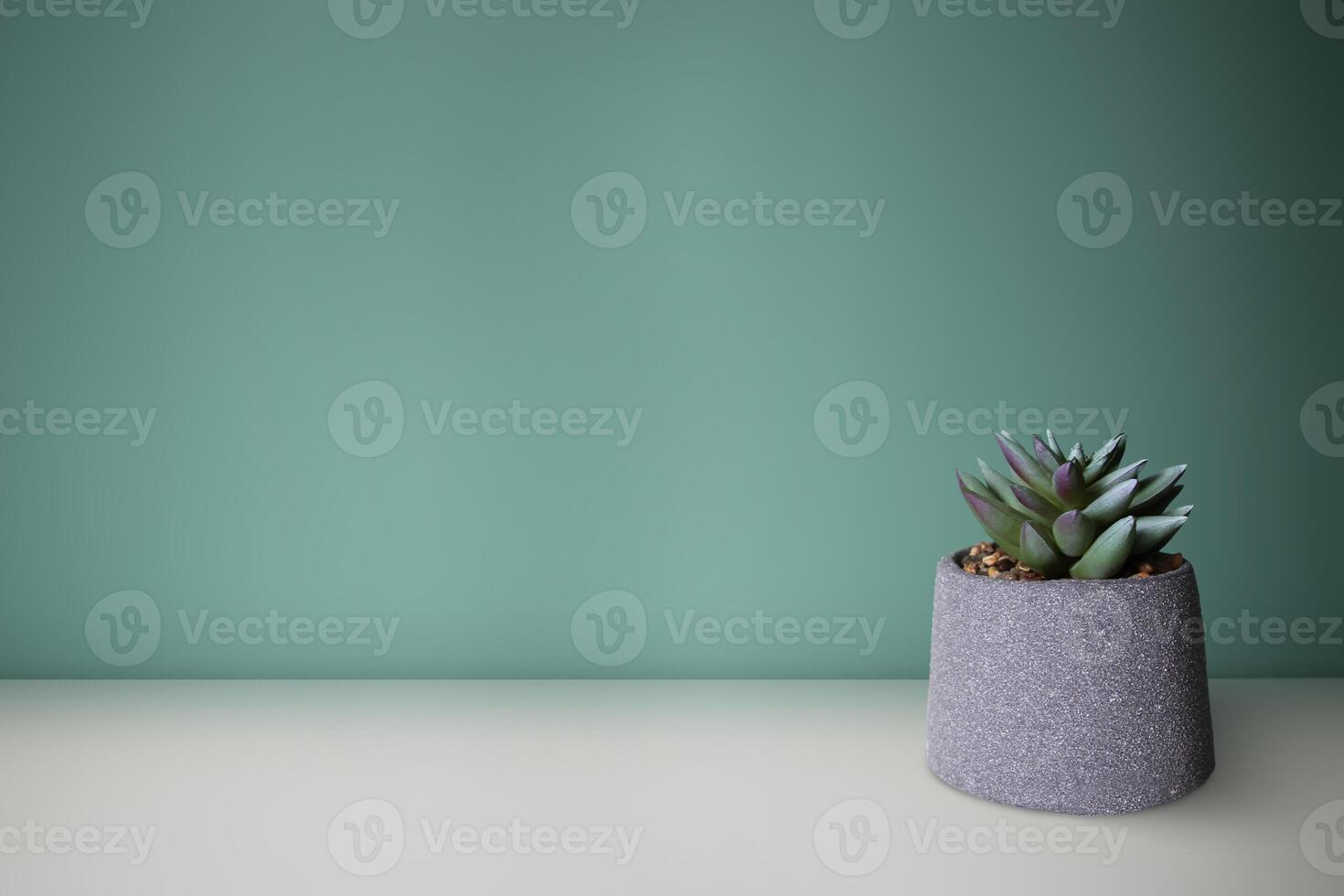 Artificial succulent flower on a white table. Space for your text. photo