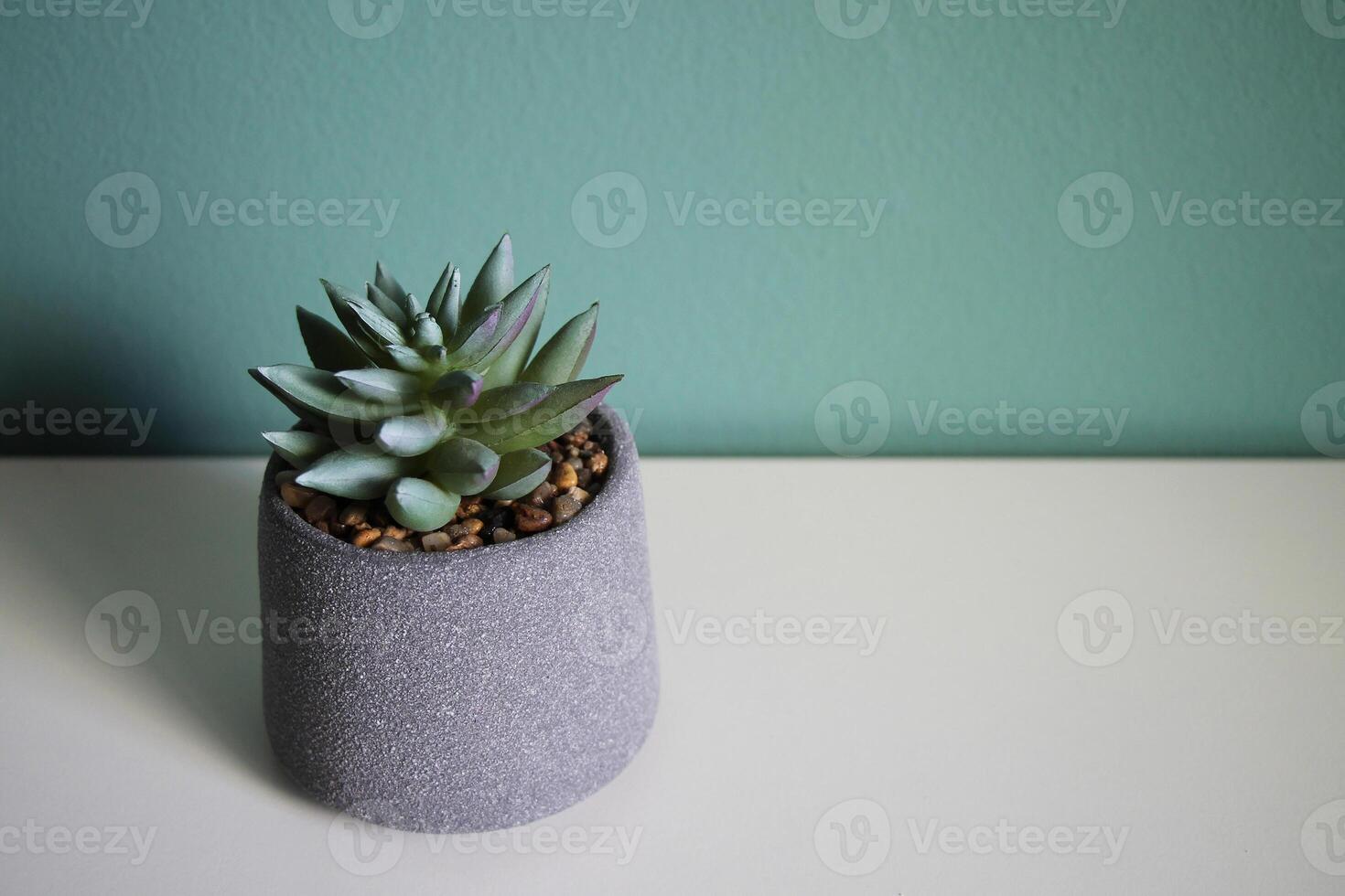 Artificial succulent flower on a white table. Space for your text. photo