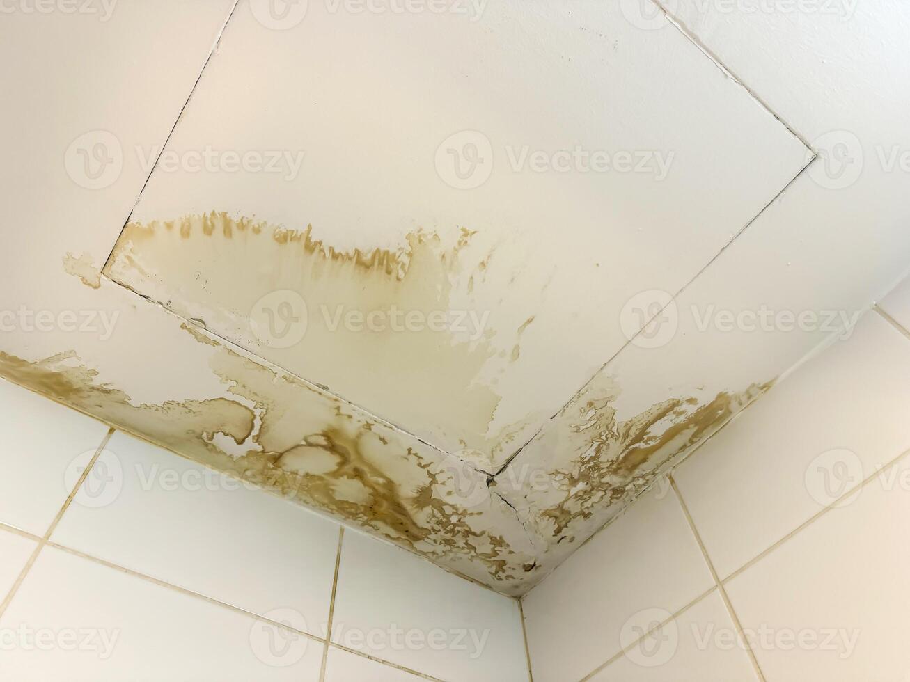 Water damage leaking from ceiling concept photo causing mold.