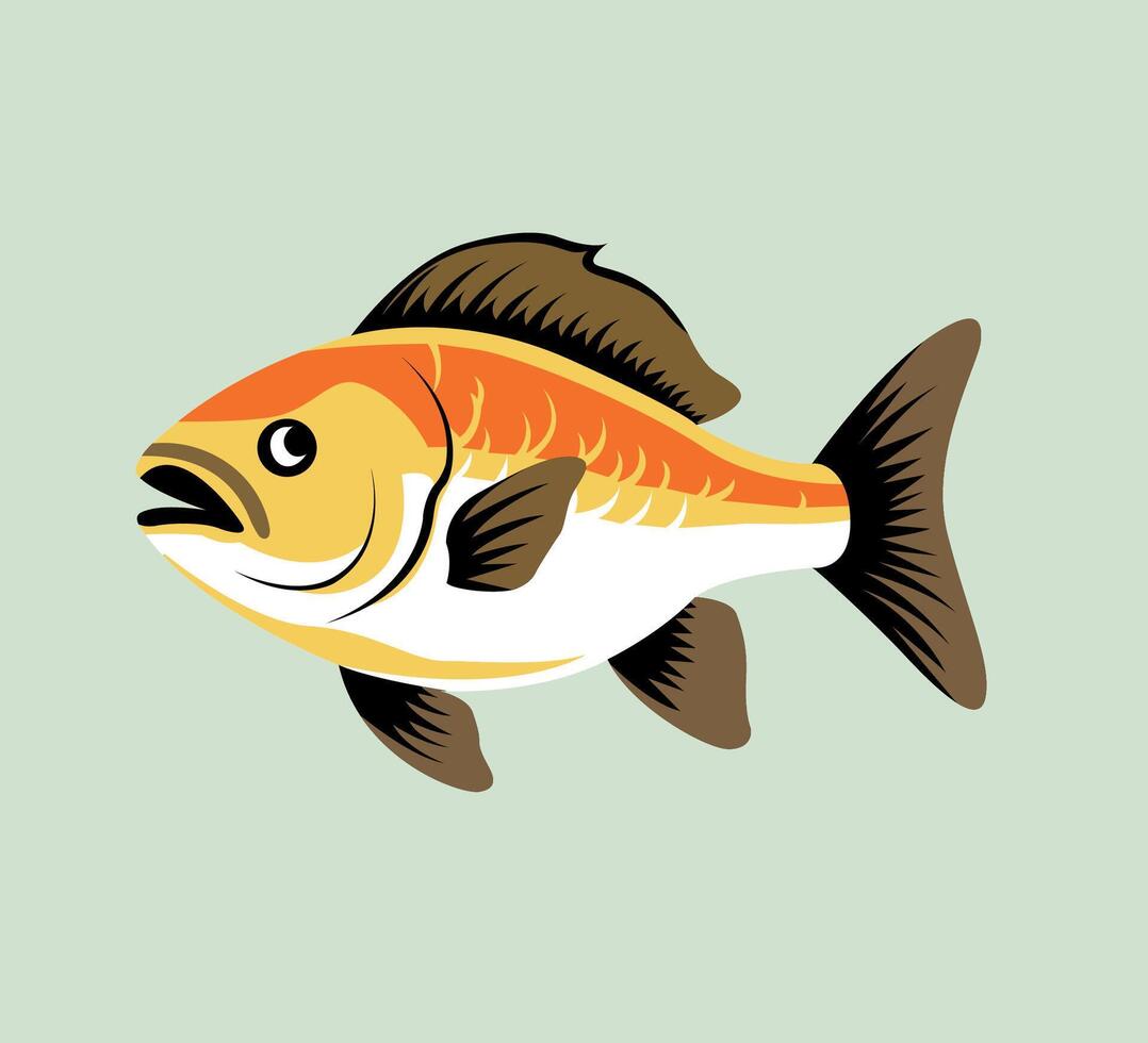 hand drawn fish illustration vector