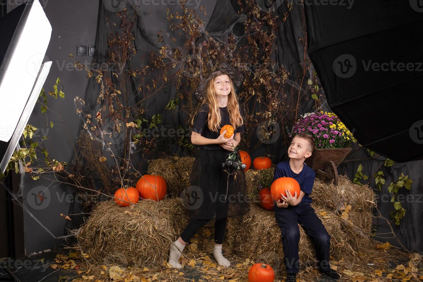children's photo shoot for Halloween. photo shoot in a studio with decor and professional lighting. happy children preparing for Halloween
