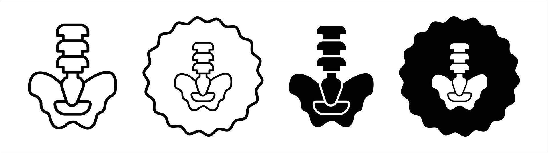 Pelvic area icon set collection. Pelvic area Outline flat Icon. vector