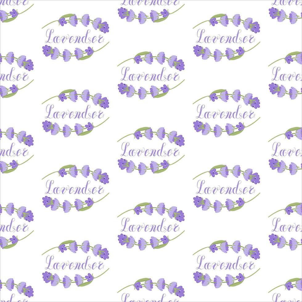 Lavender. Seamless pattern with flowers and the calligraphic word lavender on a transparent background. illustration. vector