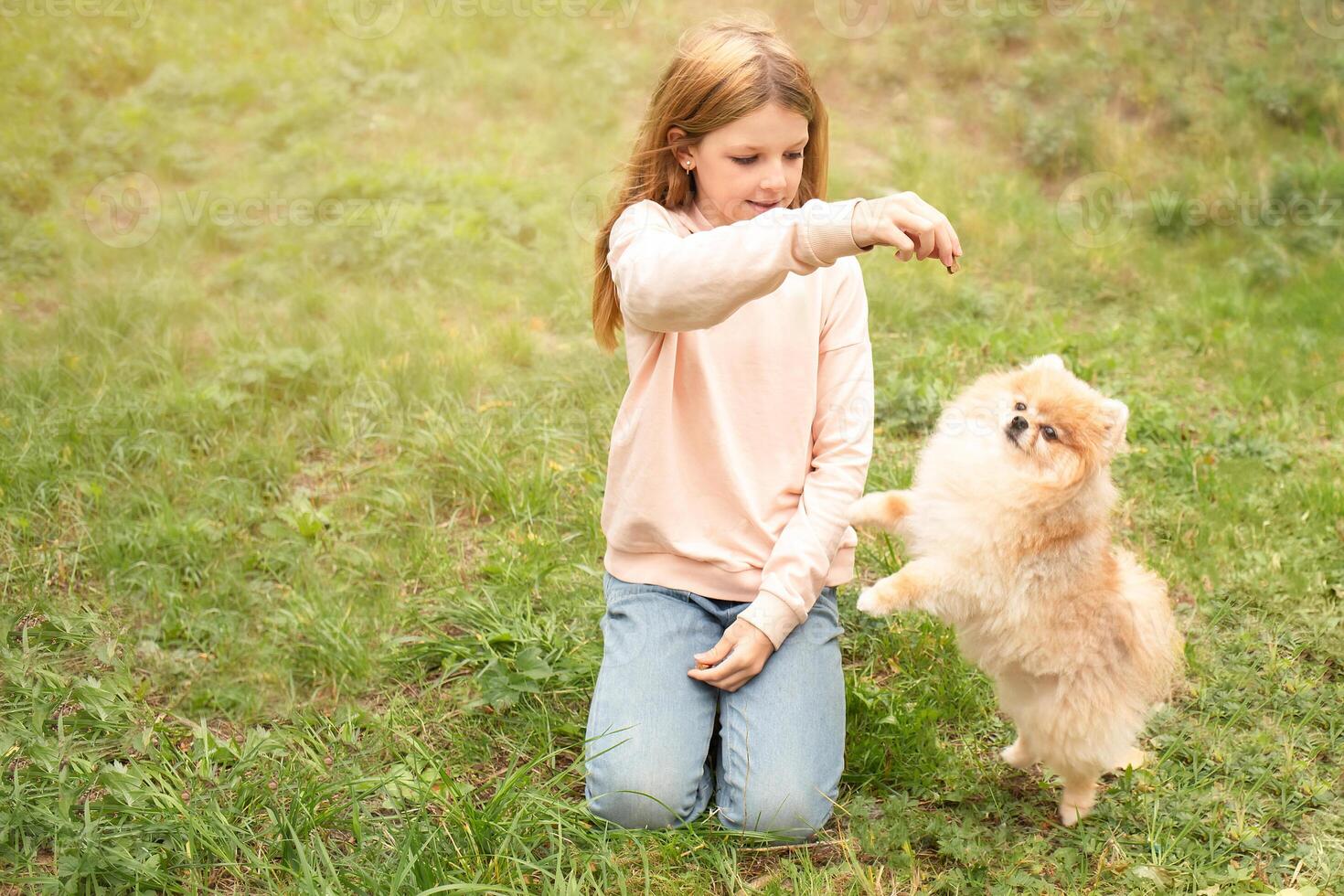 cute girl plays and training a dog in nature. pets in the family photo