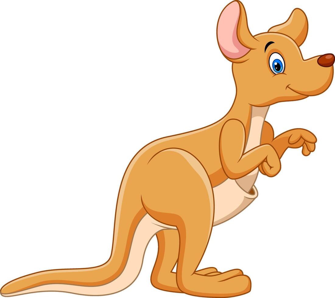 Cute kangaroo cartoon isolated on white background vector