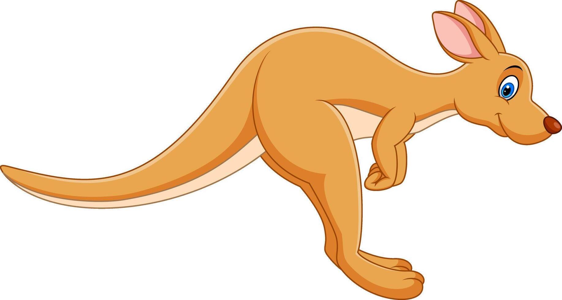 Cute kangaroo cartoon isolated on white background vector