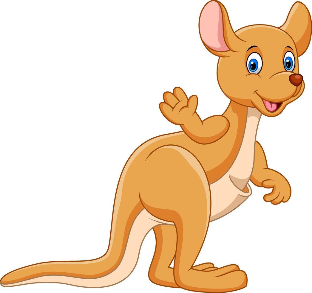 Cute kangaroo cartoon isolated on white background vector