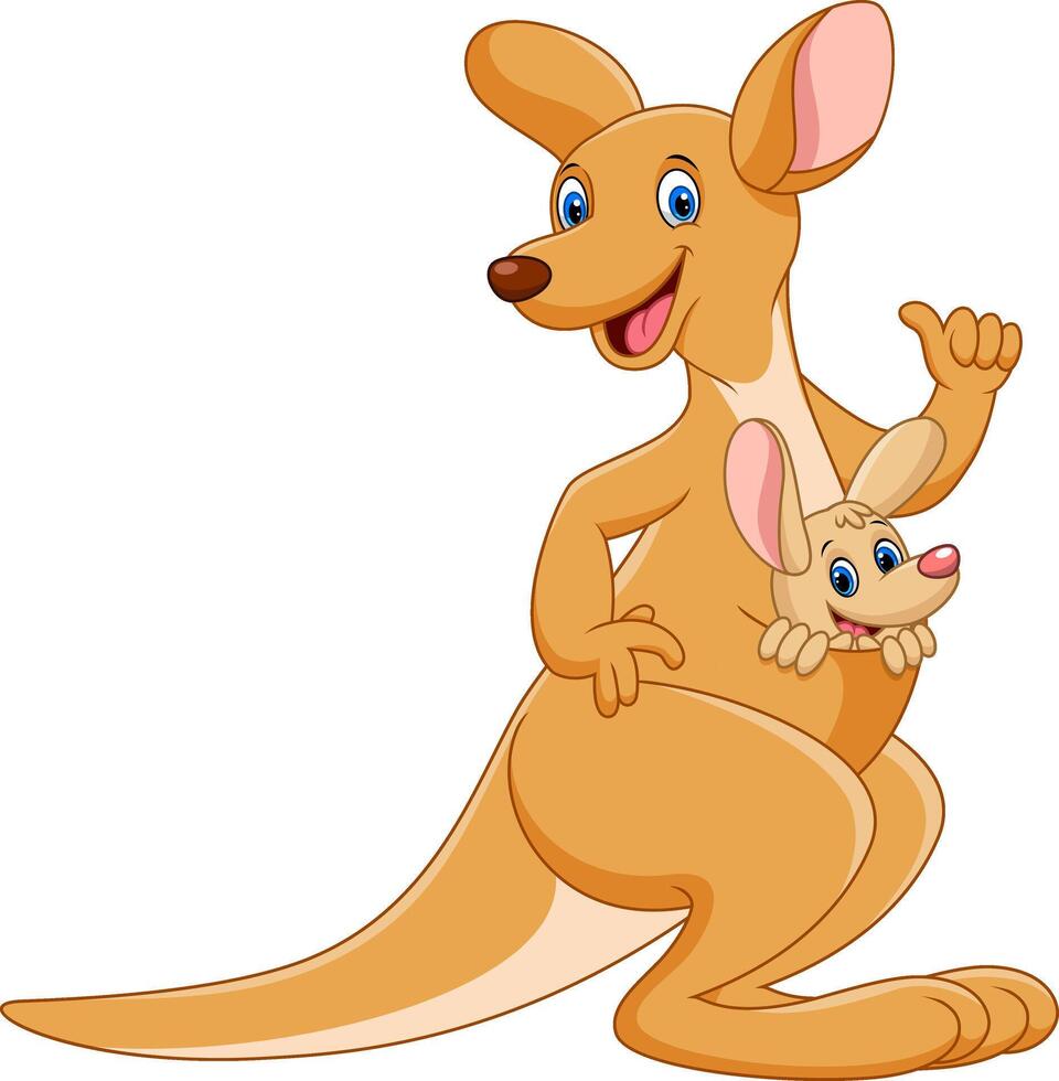 Cute kangaroo cartoon isolated on white background vector