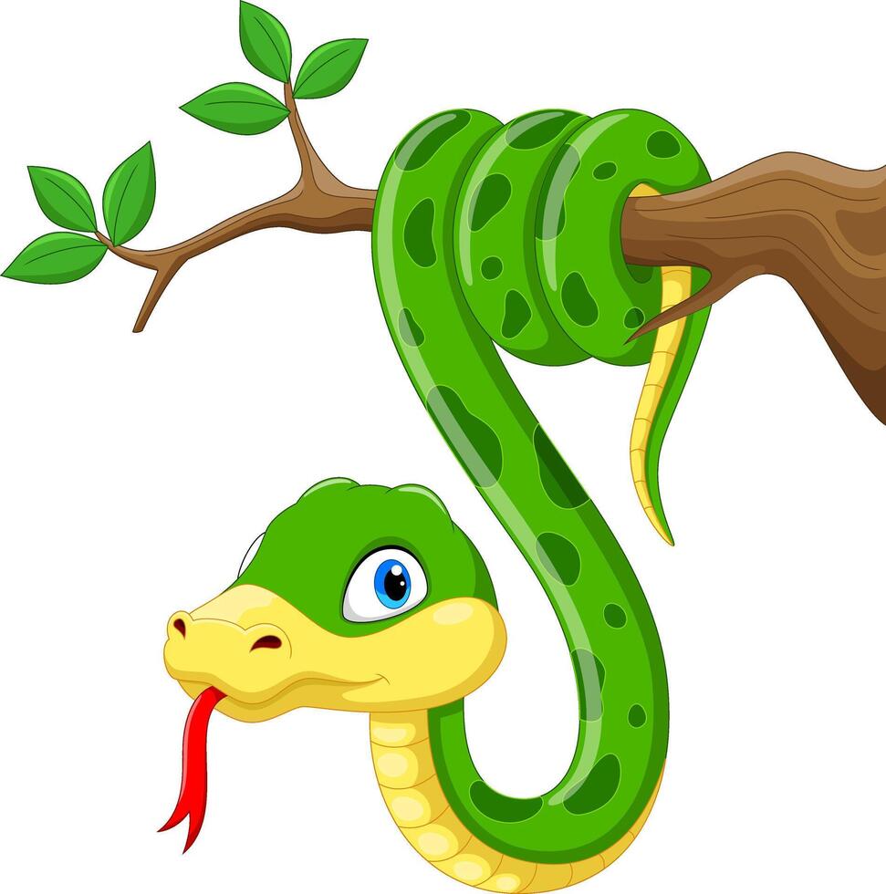 Cute snake cartoon on white background vector