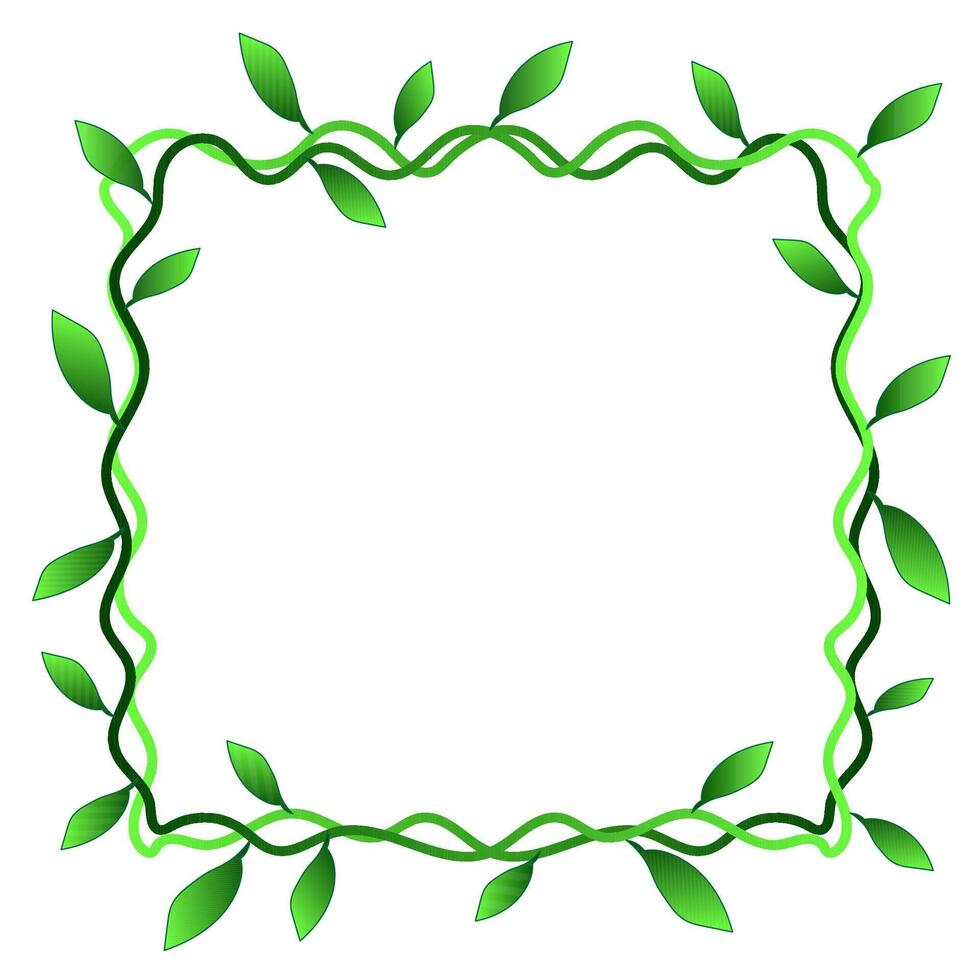 Quadrangular green frame in the form of a vine plant with leaves vector