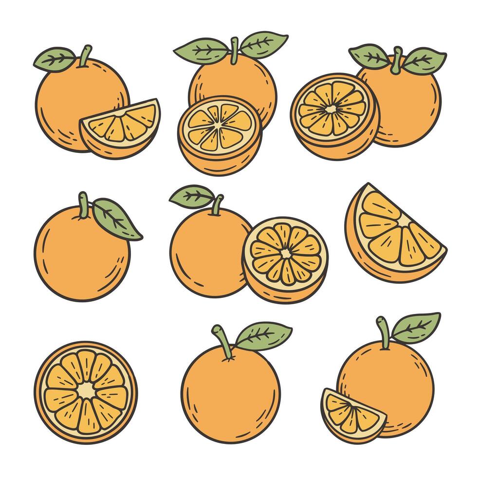 Cute Orange Fruit Cartoon Doodle Style Illustration vector