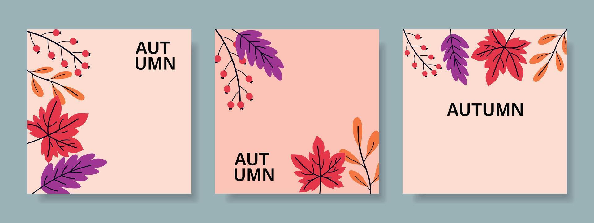 Set of trendy minimal autumn posters with colorful leaves. vector