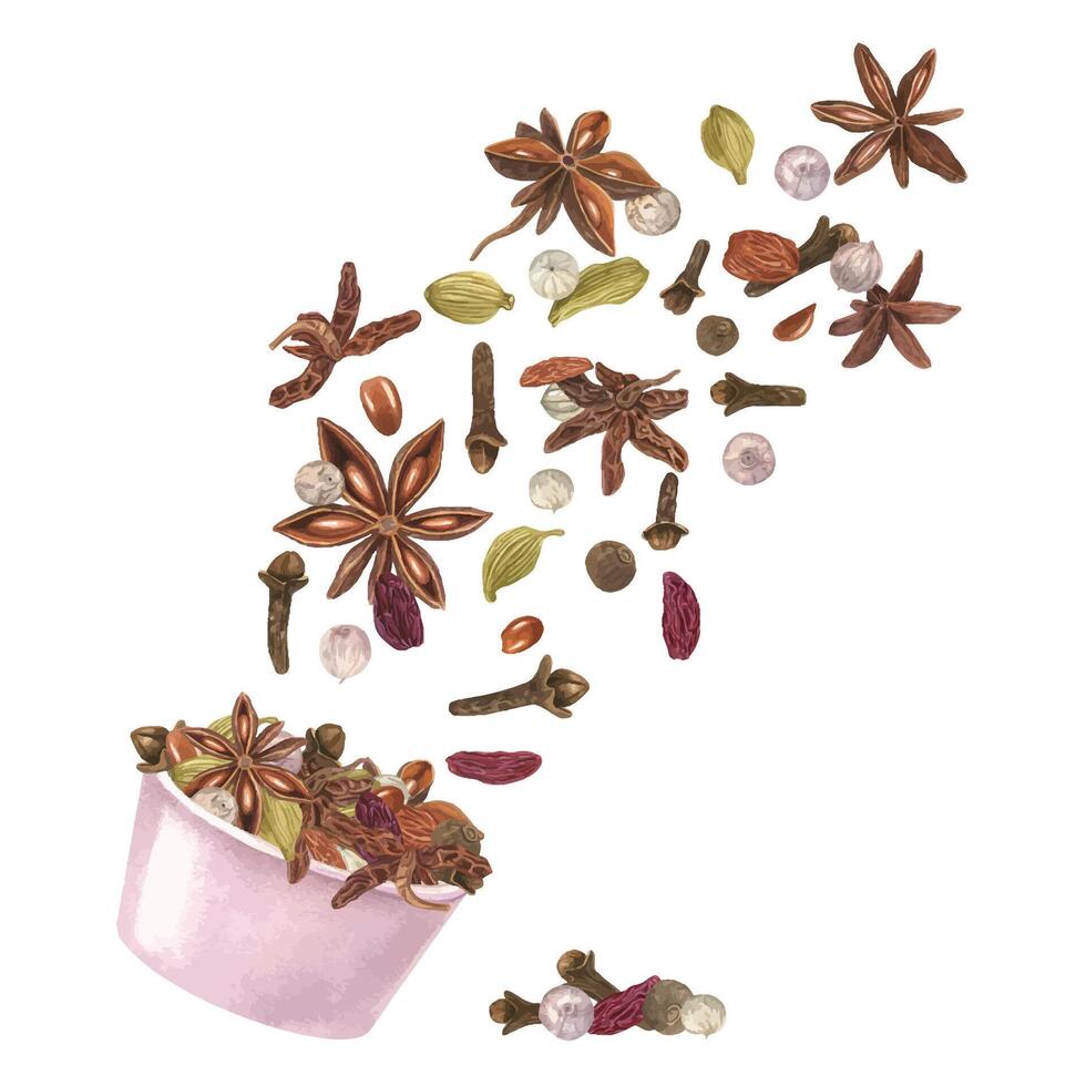 Cardamom, star anise, clove, raisin and white pepper in pink bowl. Flying rich aroma winter spice. Aroma ingredients for Xmas drinks and bakery. Organic food. Watercolor illustration for menu design vector