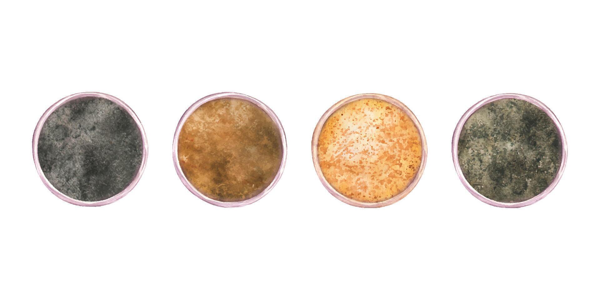 Assorted coffee cups from above with beverages like americano, cappuccino, and gourmet lattes. Bowl with with aromatic ground spices. Top down watercolor illustration for culinary concept vector