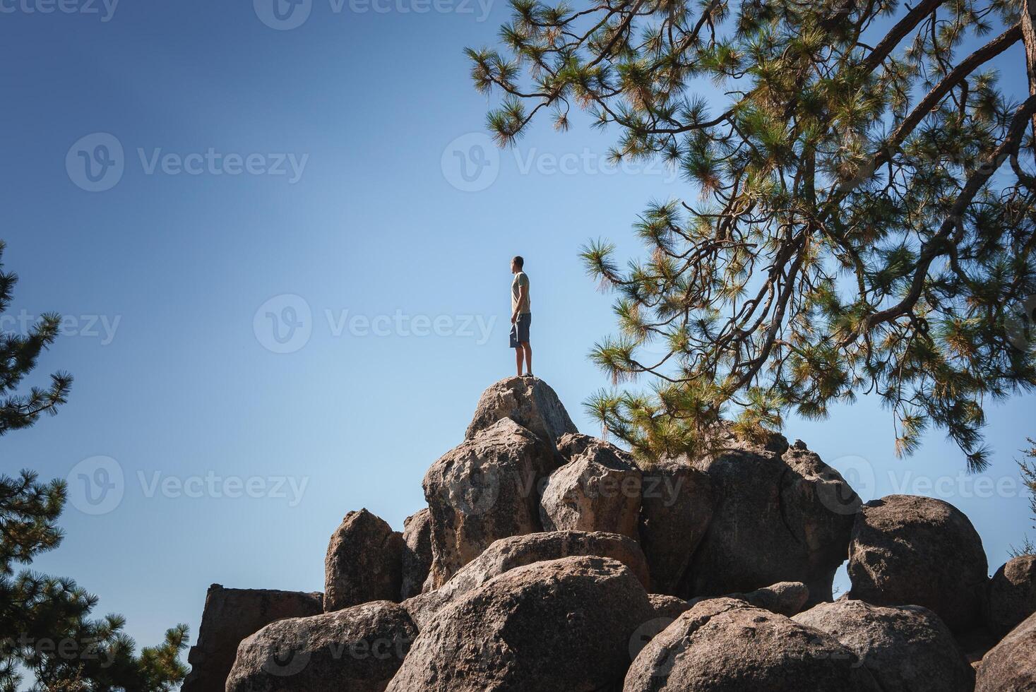 Person standing on large boulders in natural setting, facing away. Clear blue sky, pine tree visible. Casual attire, isolated location for introspection. photo