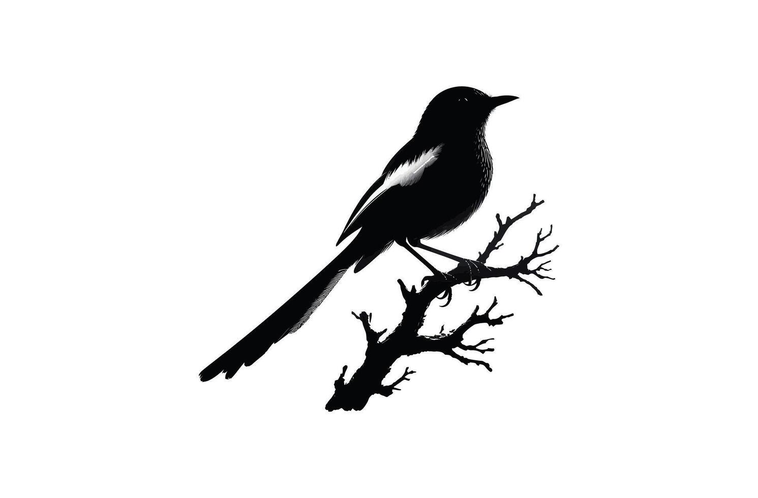 Bird silhouette illustration vector
