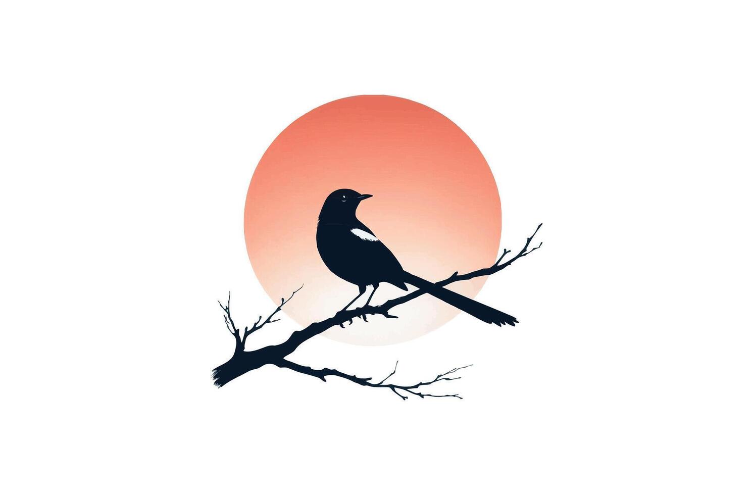 Bird silhouette illustration vector