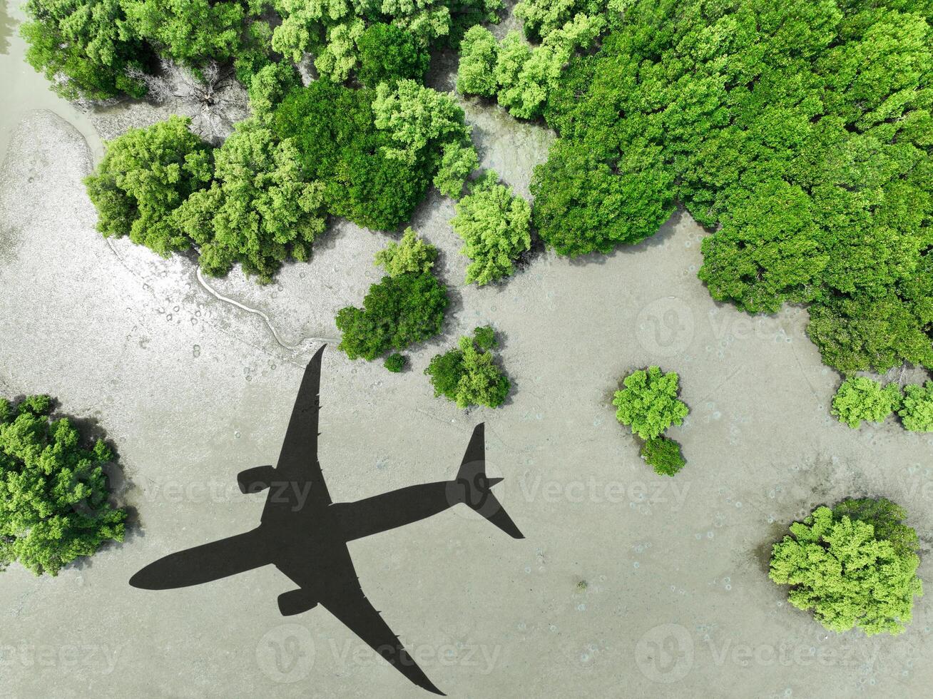 Shadow airplane flying above mangrove forest. Sustainable fuel. Biofuel in aviation. Sustainable transportation and eco-friendly flight with biofuel use. Aviation sustainability. Mangroves capture CO2 photo