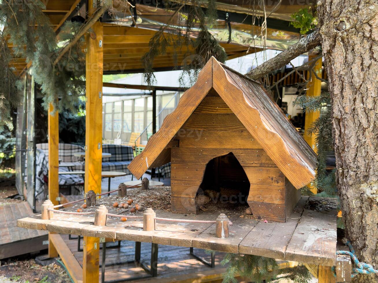 House for rabbit in a forest with benches photo