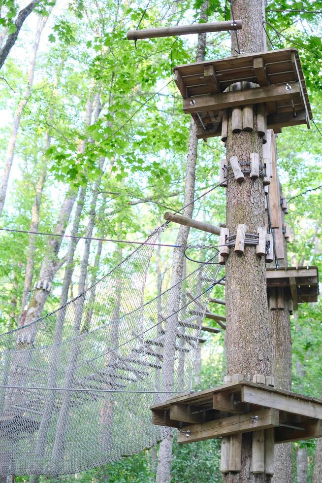 Rope park on trees close-up. The concept of sports and recreation photo
