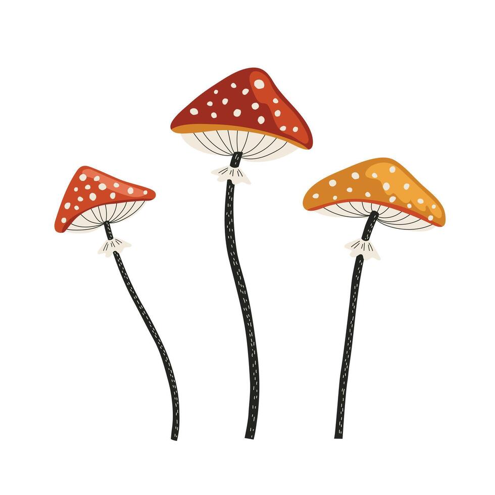 set of fly agaric mushrooms vector