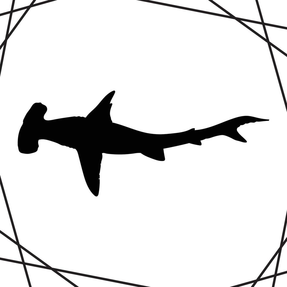 Hammerhead Shark Silhouette illustration, Hammerhead Shark Silhouette, Shark Silhouette art on white background vector
