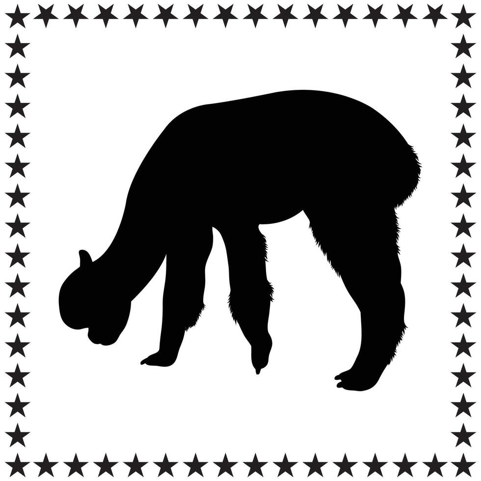 Alpaca Silhouette illustration, Alpaca Silhouette, Alpaca Silhouette art on white background vector