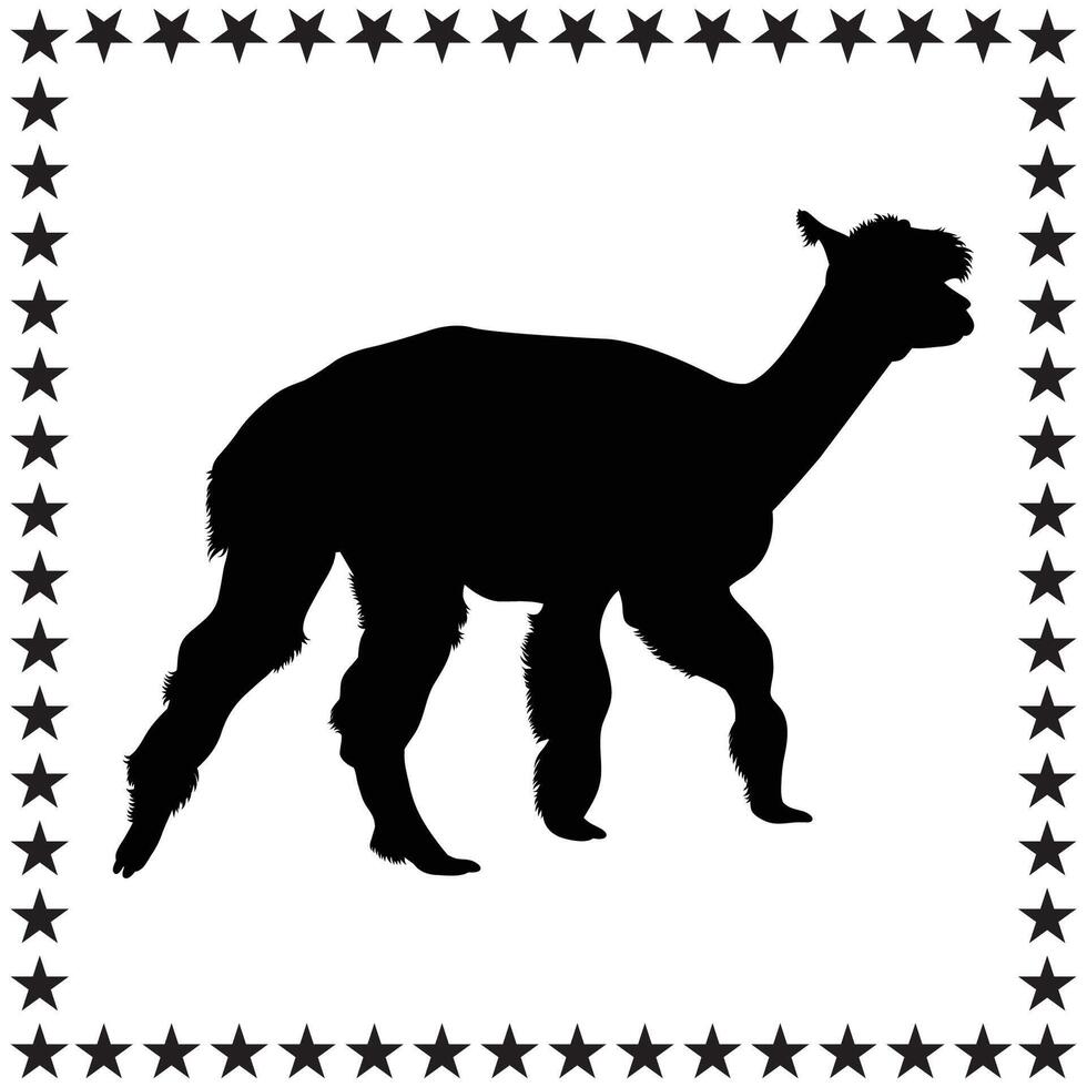 Alpaca Silhouette illustration, Alpaca Silhouette, Alpaca Silhouette art on white background vector