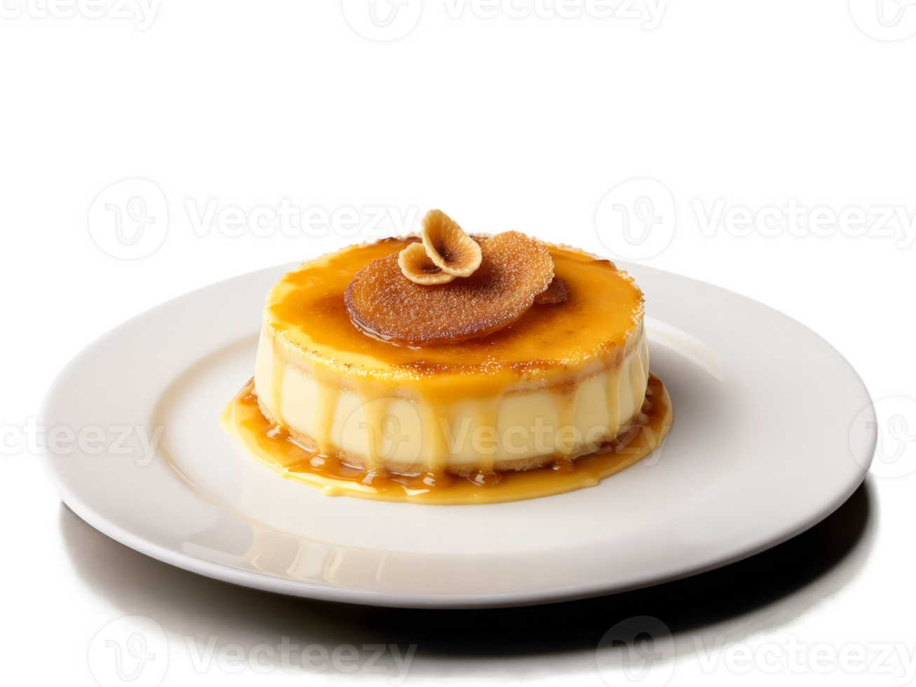 Crema Catalana with caramelized sugar topping and custard filling png