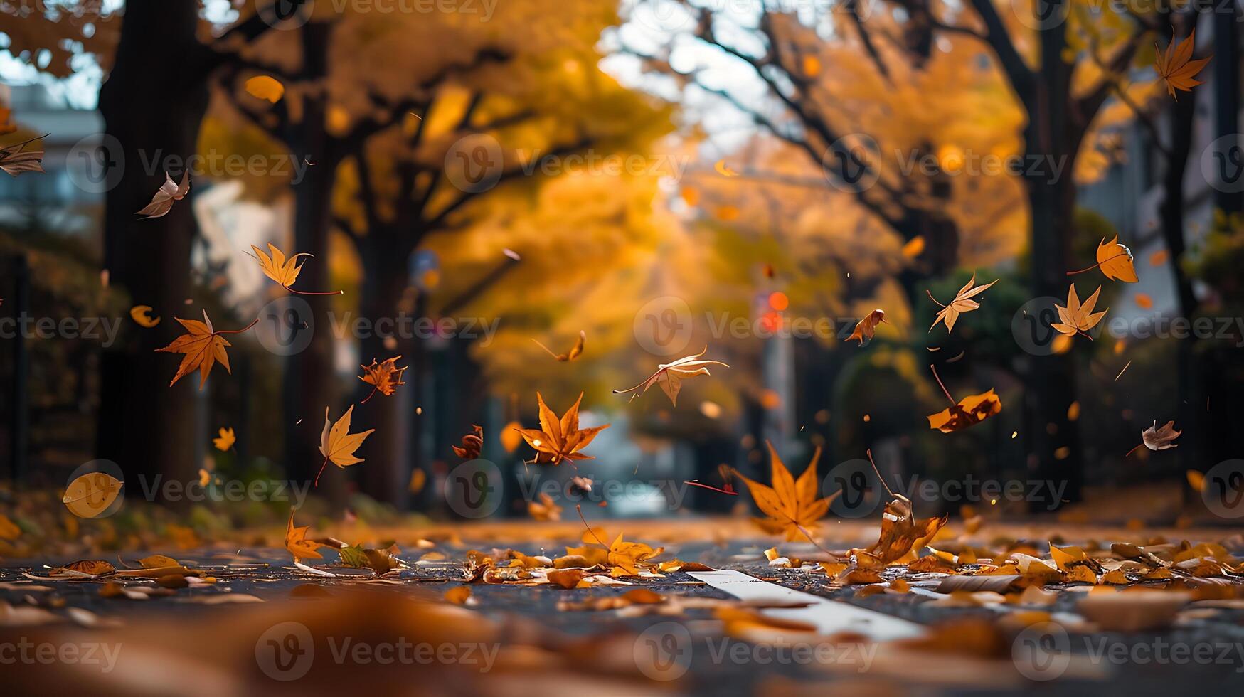 A forest edge where the air is thick with the scent of autumn photo
