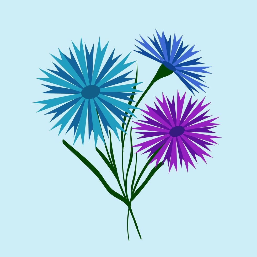 Bouquet of blue and purple field cornflowers. Beautiful flower with buds. illustration. Belarusian style. For design, print and postcards. vector