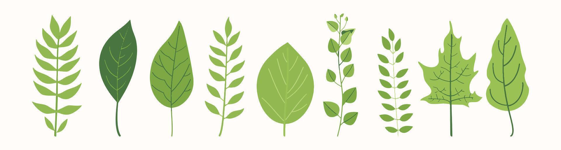 Tree collection hand drawn flat design element. botanical set of bare trees and ones with leaves and lush limited pastel color vector